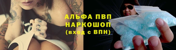 ECSTASY Новодвинск